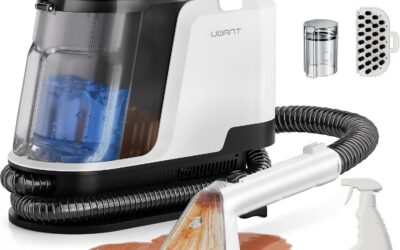 Carpet Cleaner For Area Rugs