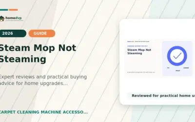Steam Mop Not Steaming 2026